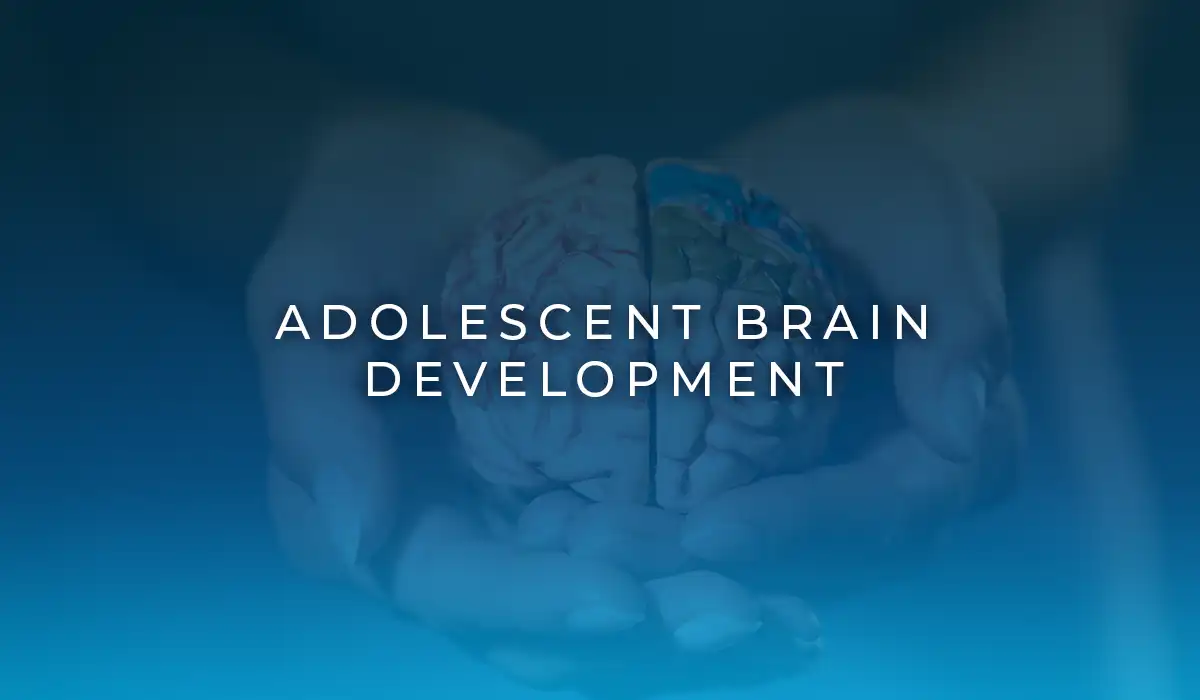 Adolescent Brain Development by Embassy