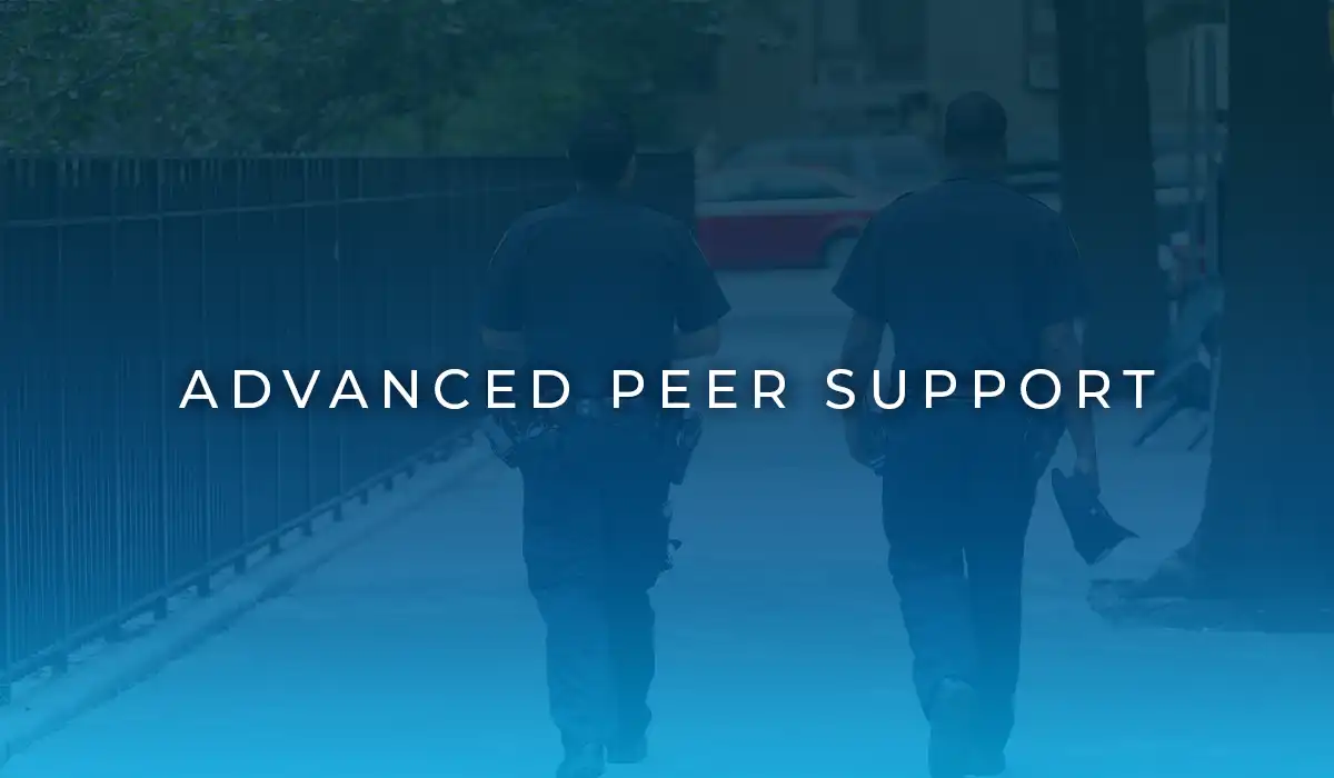 Advanced Peer Support by Embassy