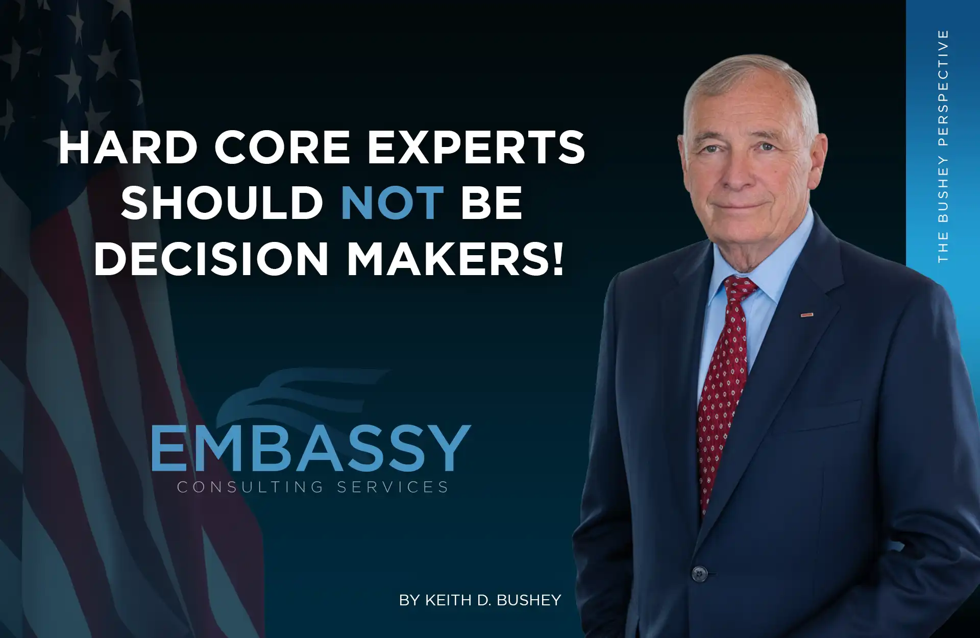 Hard Core Experts Should Not Be Decision Makers! | The Bushey Perspective